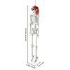 Halloween 5.4 FT Skeleton Bones